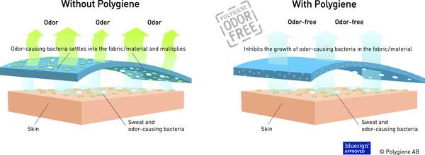 Dissent Ski GFX Compression Hybrid Padded Sock